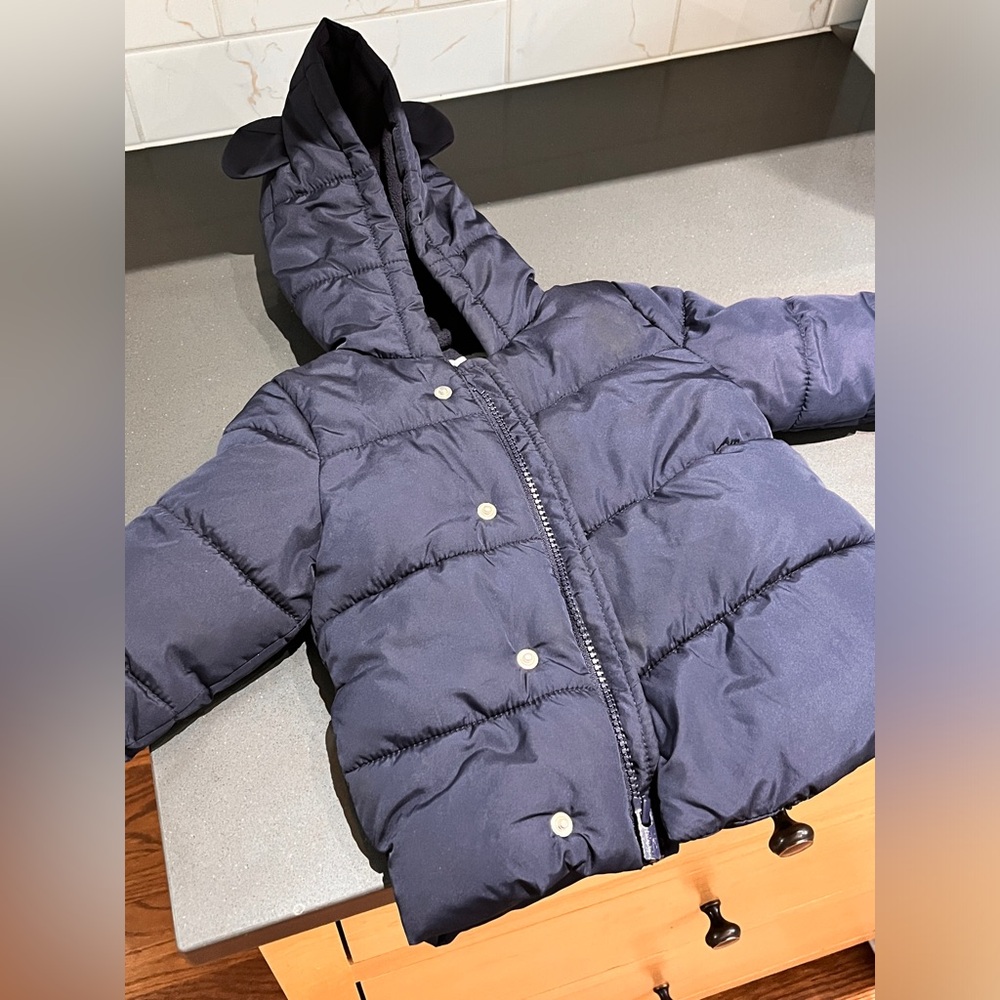 Cute Bear Coat